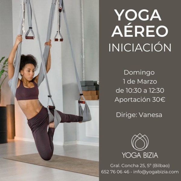 Yoga Aéreo (5)